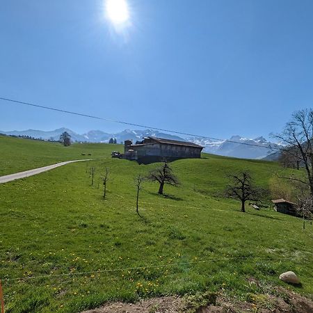 Chalet Mutschli Apartment Aeschi Bei Spiez Exterior photo