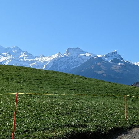 Chalet Mutschli Apartment Aeschi Bei Spiez Exterior photo