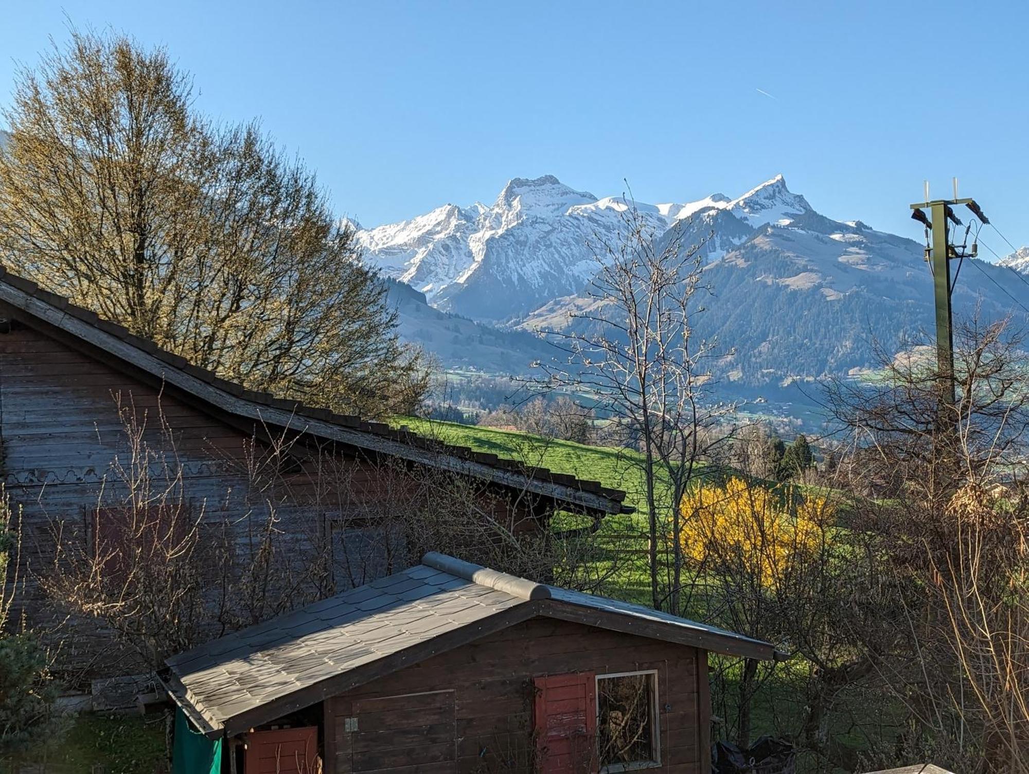 Chalet Mutschli Apartment Aeschi Bei Spiez Exterior photo