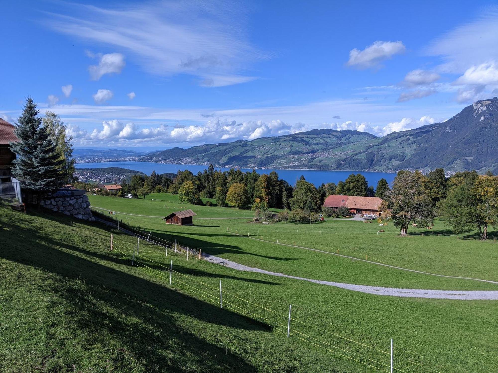 Chalet Mutschli Apartment Aeschi Bei Spiez Exterior photo